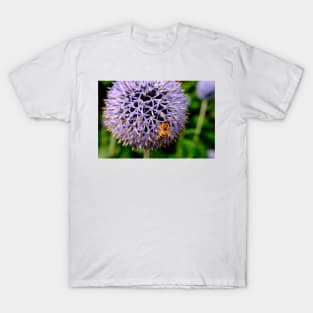 Bee On Small Globe Thistle 5 T-Shirt